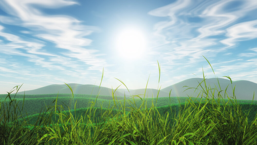 3d-grassy-landscape-against-blue-sunny-sky (2) (1)